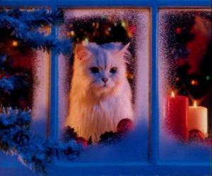 Puzzle Γάτα αναζητούν έξω από το παράθυρο τα Χριστούγεν&amp;#